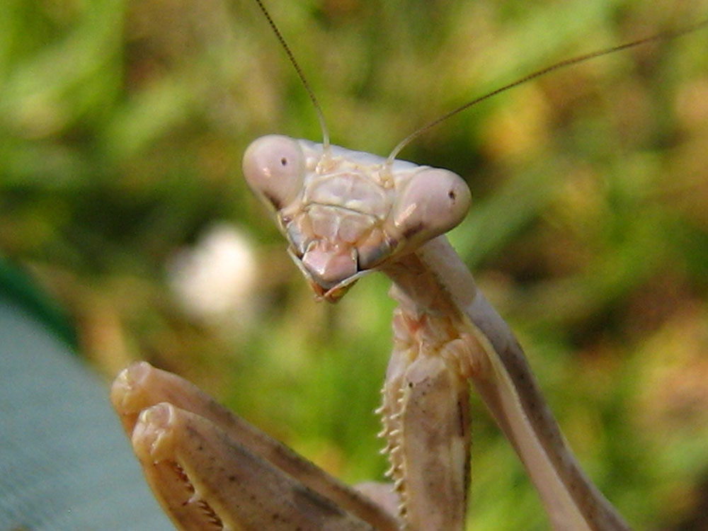 [IMG_3487.jpg]