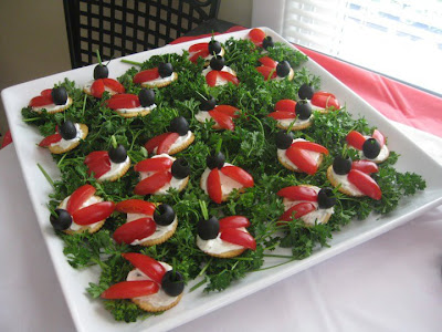 Make this fun and sweet Lady Bug Appetizer. It is simple to make and so fun for birthday parties, potlucks, and summer picnics. #WomenLivingWell #easyappetizers #birthdayparties