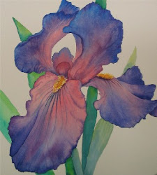 iris watercolor bearded painting thompson carolyn jean artwork daily jan