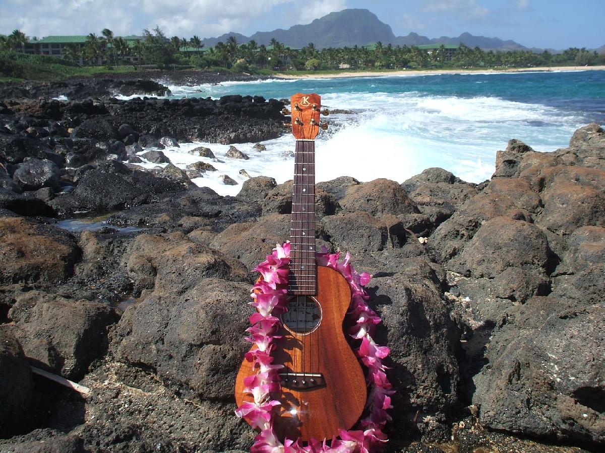 Гавайи музыка. Гавайи укулеле Эстетика. Гавайи 5.0 укулеле. Гавайи дикор. Гавайи гитара.