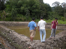 Keli Project