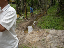 Keli Project
