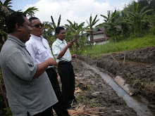 Keli Project