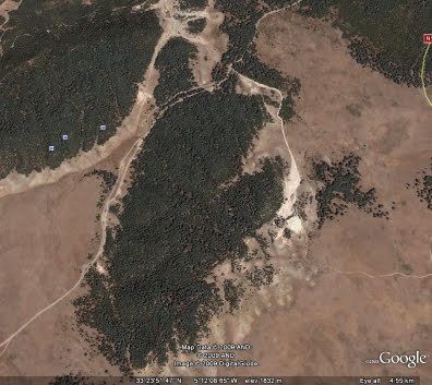 [ForestSat.bmp]