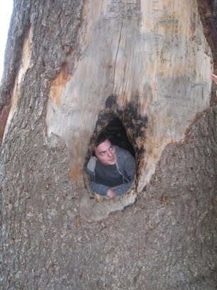 [tree.jpg]