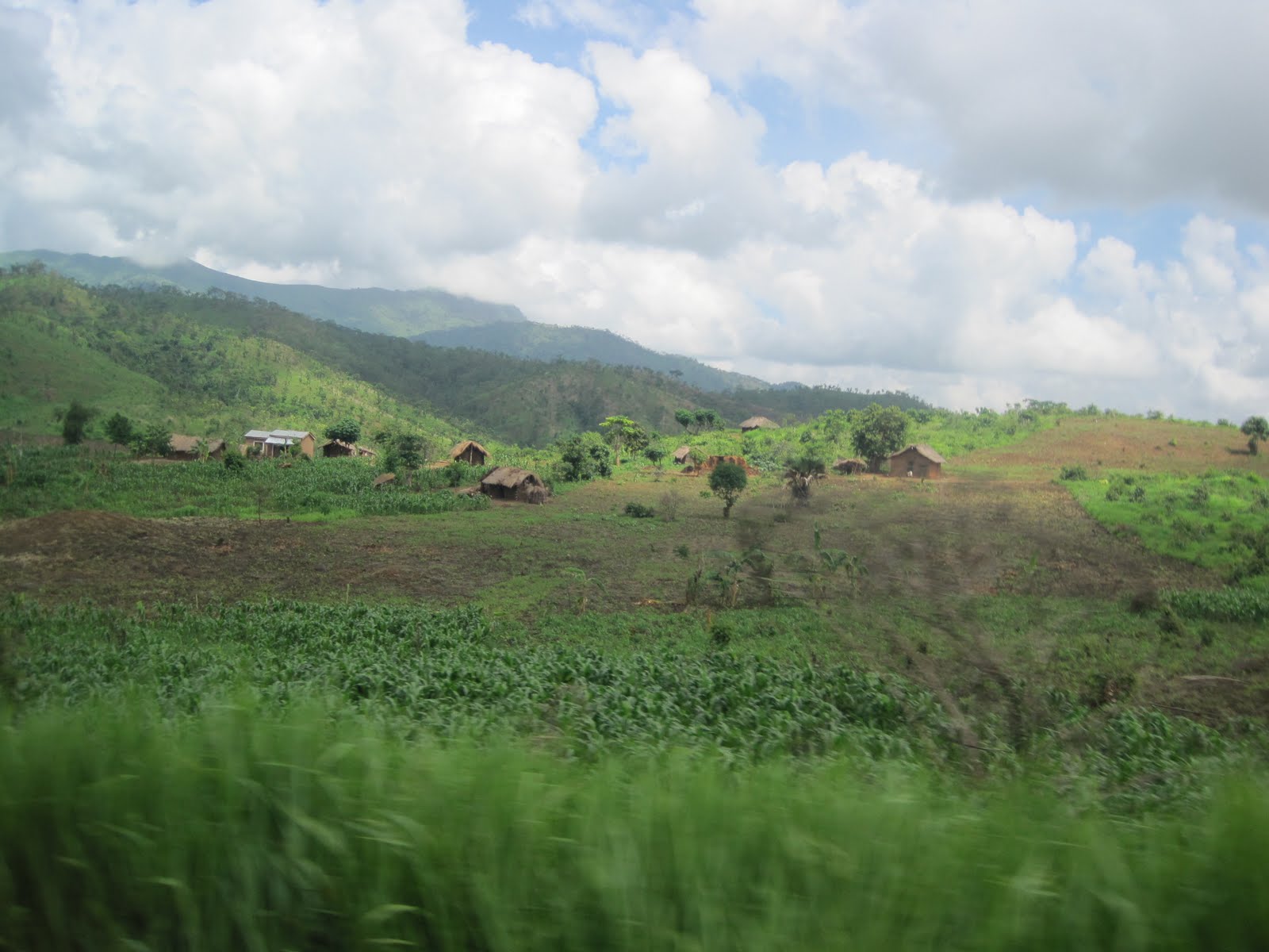 3 Monate in Tansania: Songea und Peramiho