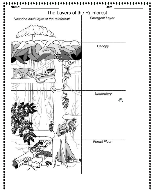 Large Format Printable Pictures Of The Forest 4