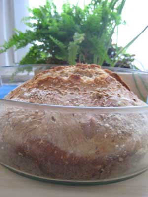 [pain+cocotte+pyrex+1.jpg]