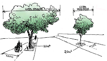Manual Técnico de Arborização