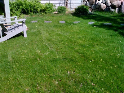 Terra Firma: Adventures in Organic Urban Gardening: Mom's No Mow Grass