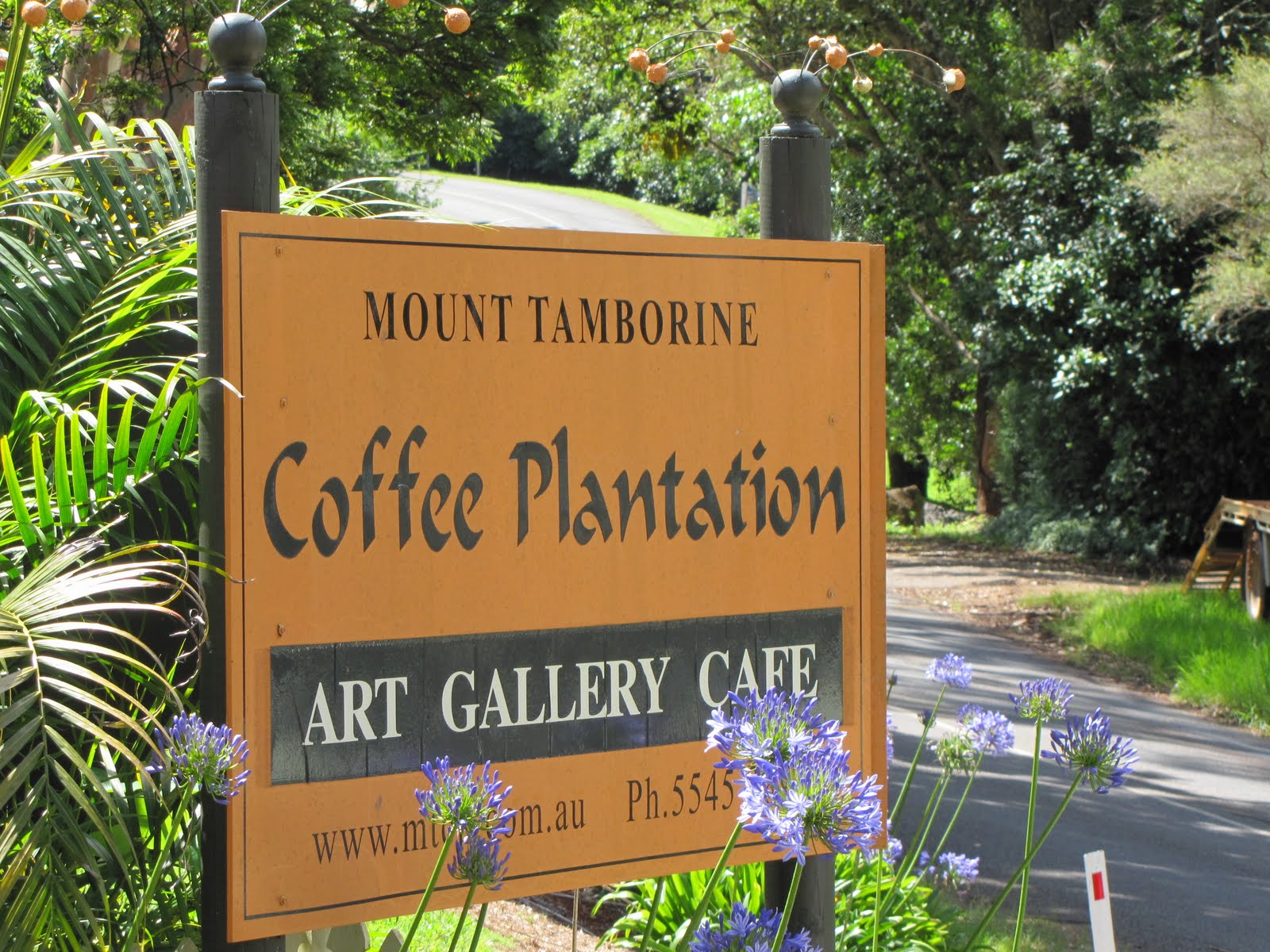 The Yum List More Coffee! Mount Tamborine Coffee Plantation, Gold