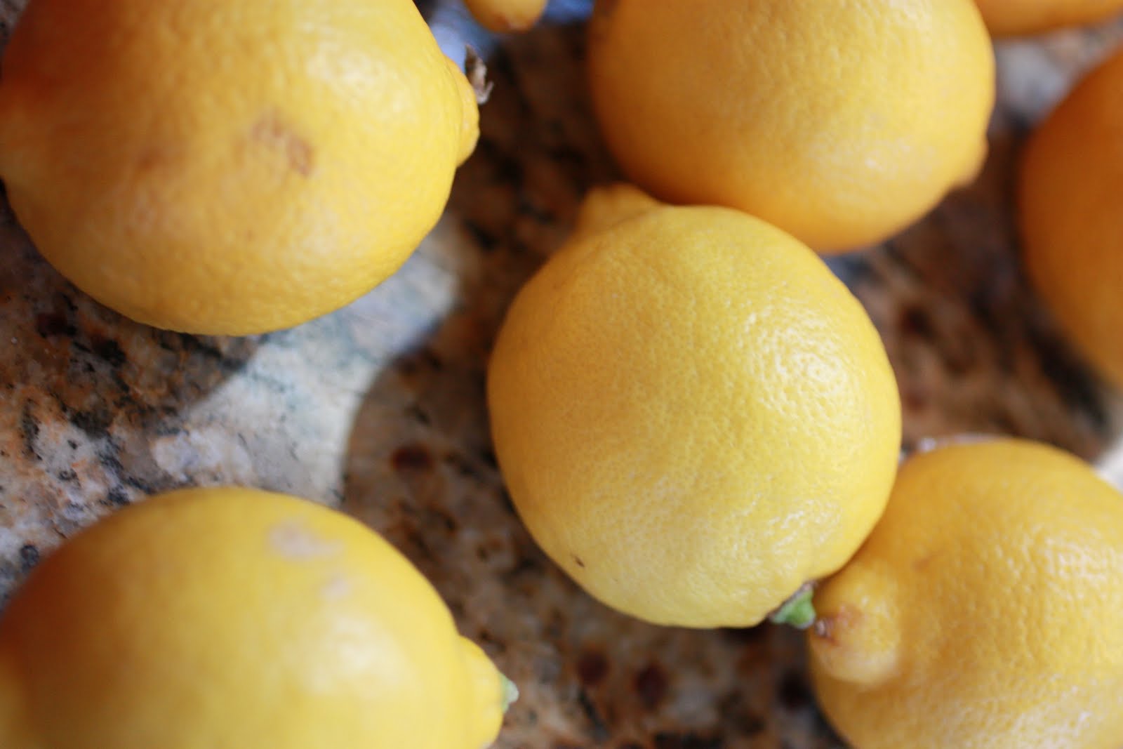 Schnauzer & Strudel Tartine Lemon Bars on Brown Butter Shortbread