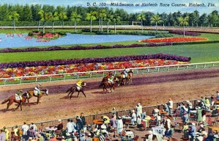 postcard of horse race at Hialeah race track in Florida