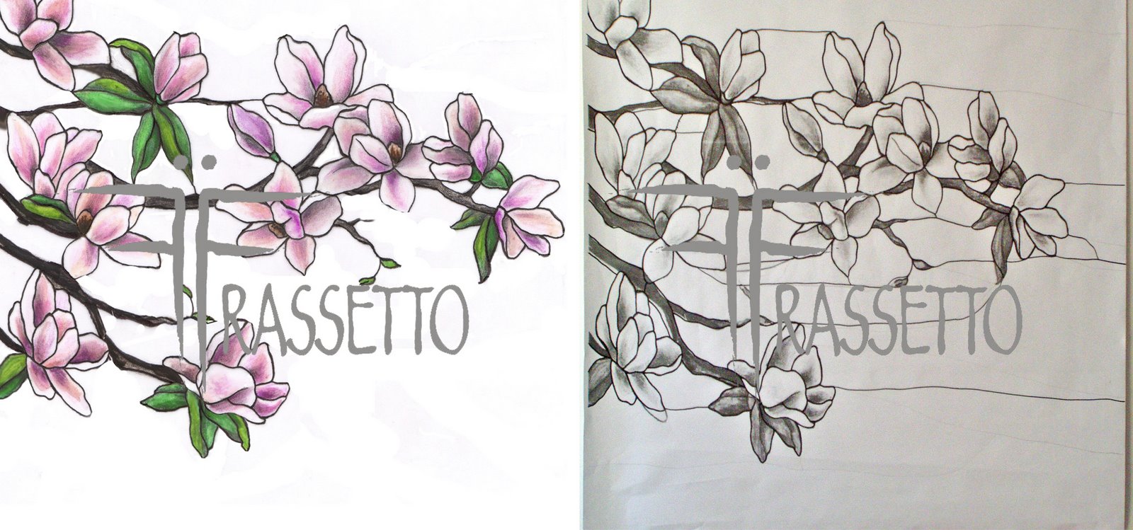[bozzetto+e+cartone+magnolie.jpg]