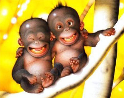 macacos engraçados