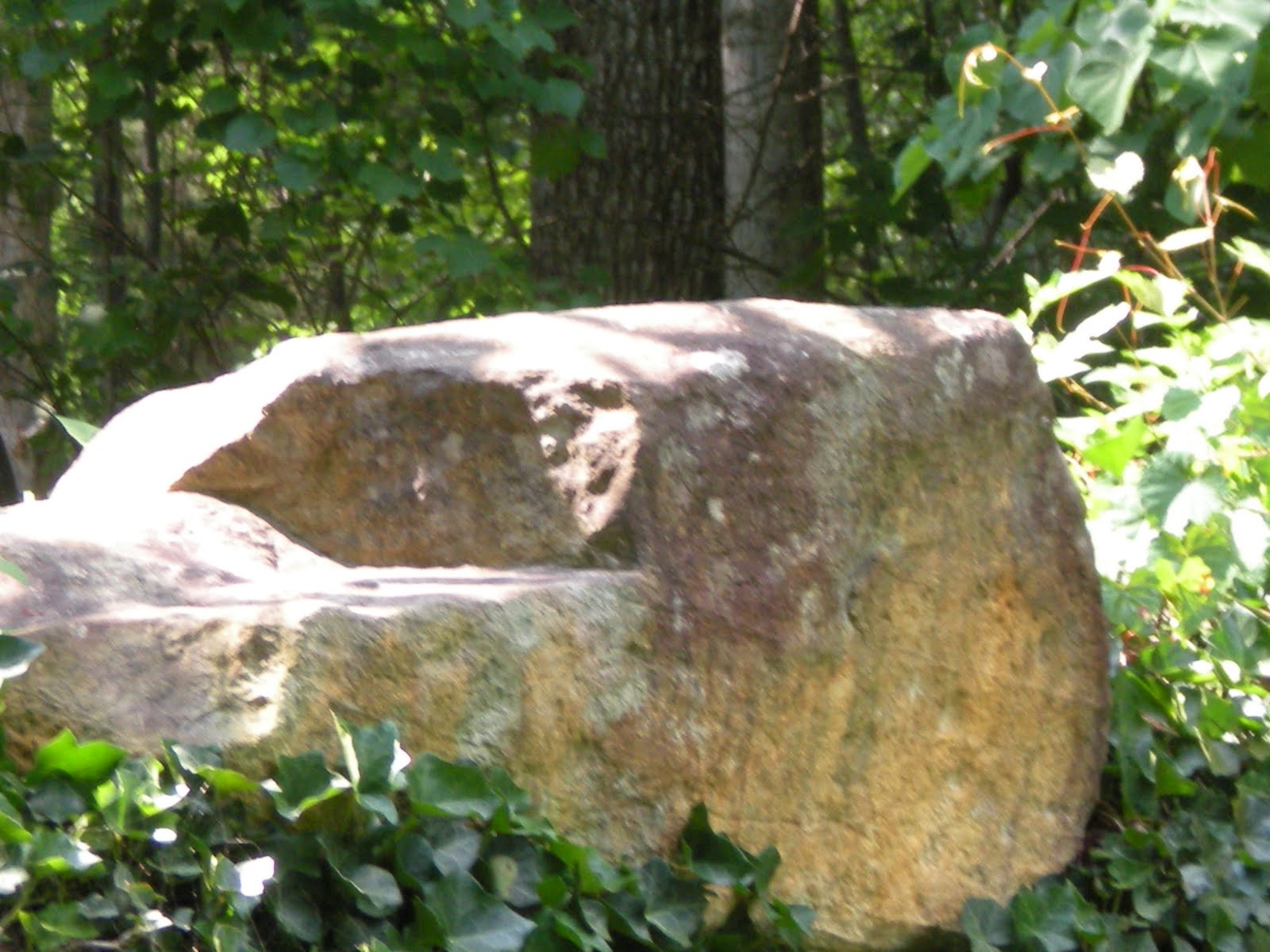 Here comes the Sun: Gimghoul Haunting - Visual Narrative