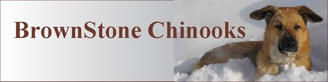 BrownStone Chinooks
