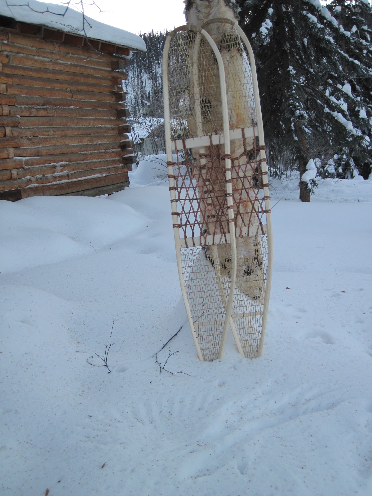 ALBERT SNOWSHOES VANISHED BUT NOT VANQUISHED BABICHE ART FORM REVIVED