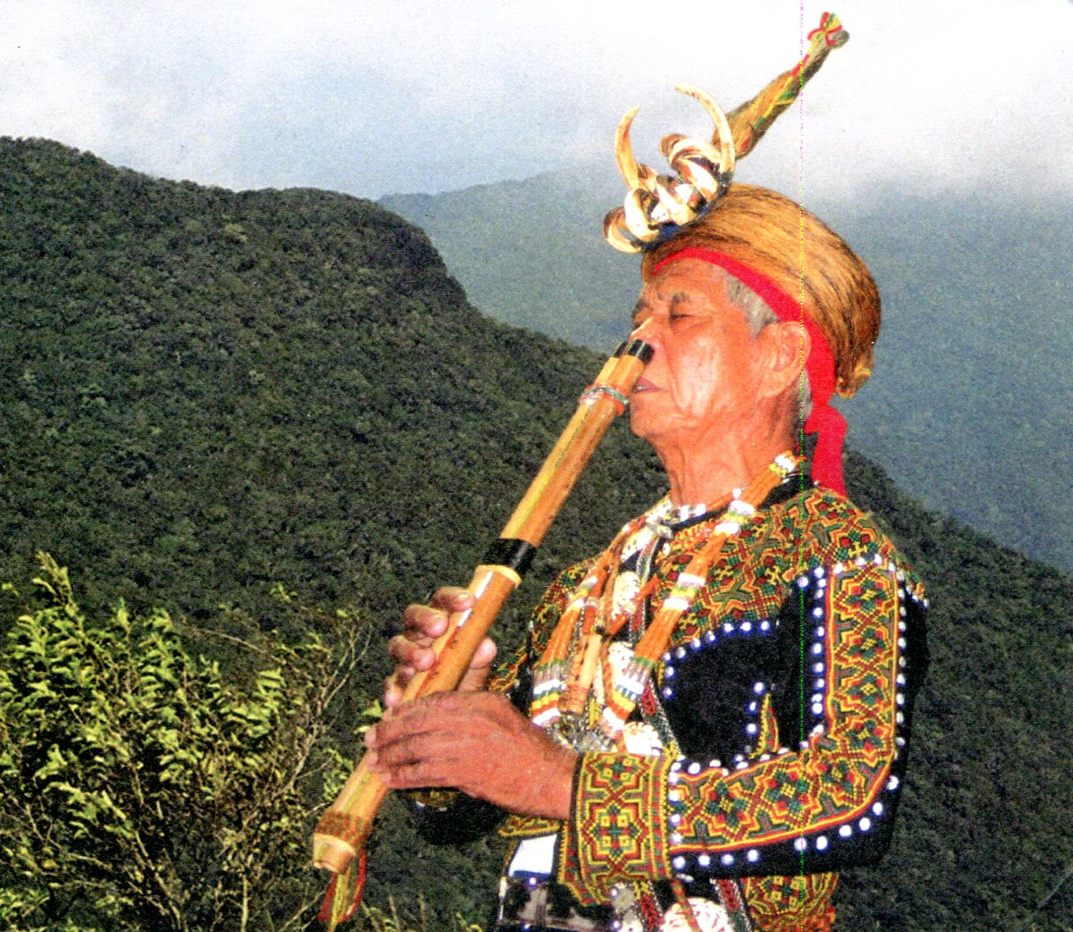 collect ROC Taiwan postcard Aboriginal Musical Instrument