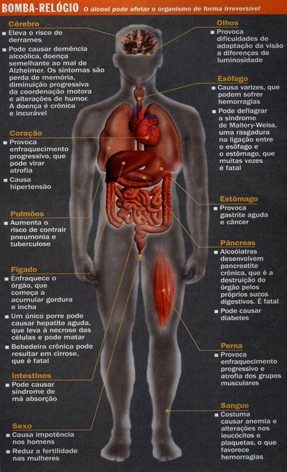 Efeitos do Álcool no Metabolismo Humano