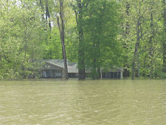 Flooded Cabin
