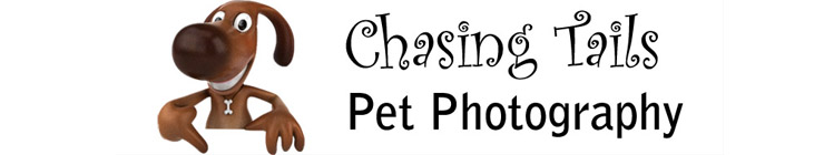 ChasingTailsPetPhotography