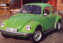 1973 Extra Bug
