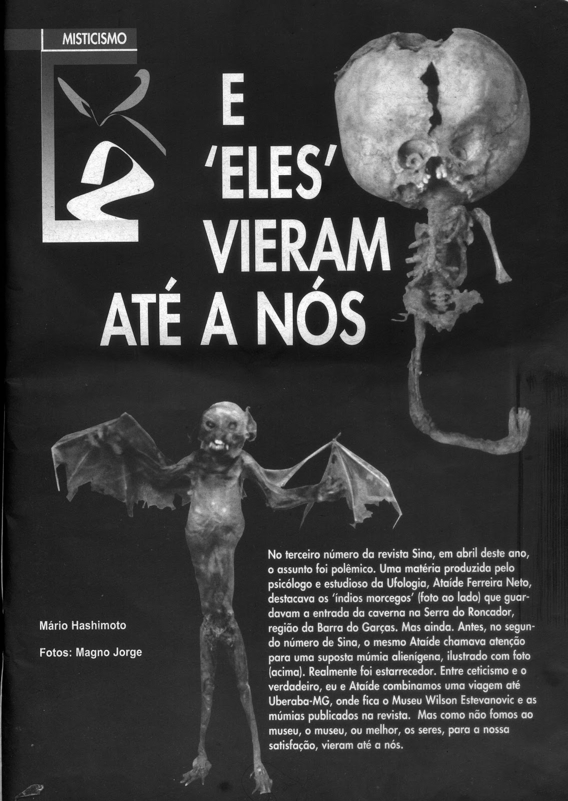 [indio+morcego+de+barra+do+garÃ§as.JPG]