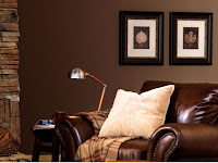 brown color scheme living room