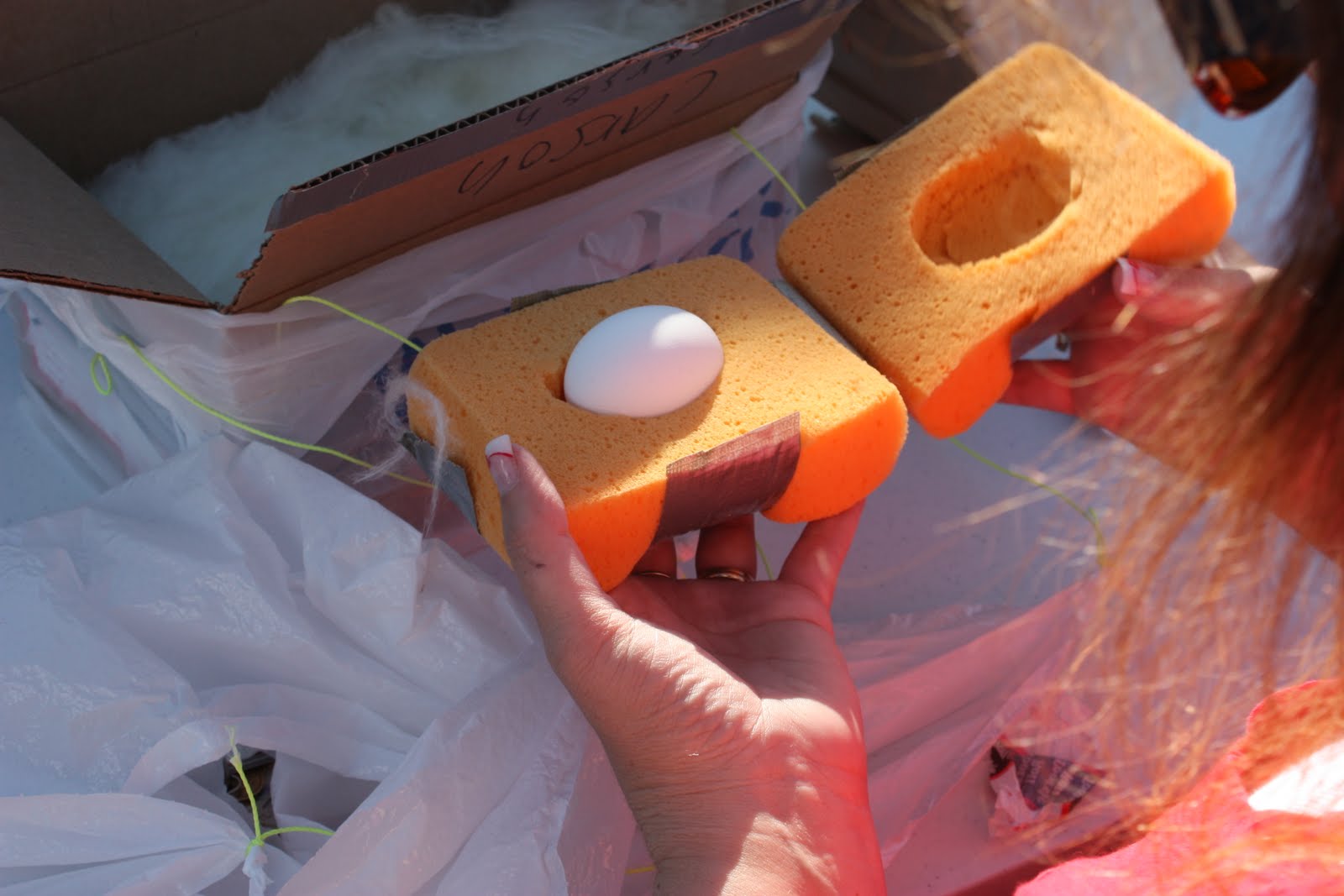 Day to Day Life: Egg-stremely Fun Egg Drop!
