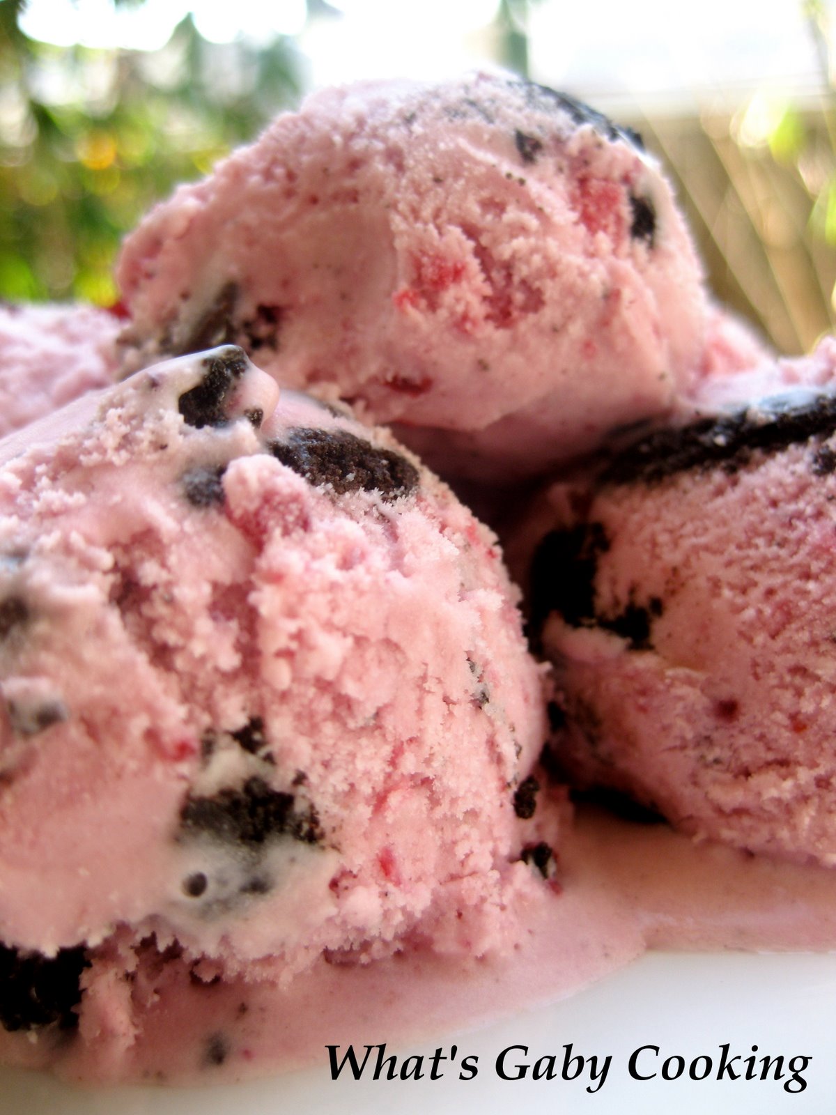 [icecream2.JPG]