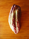 Cacao aragueño!