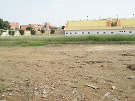 مركز شباب كفر شكر