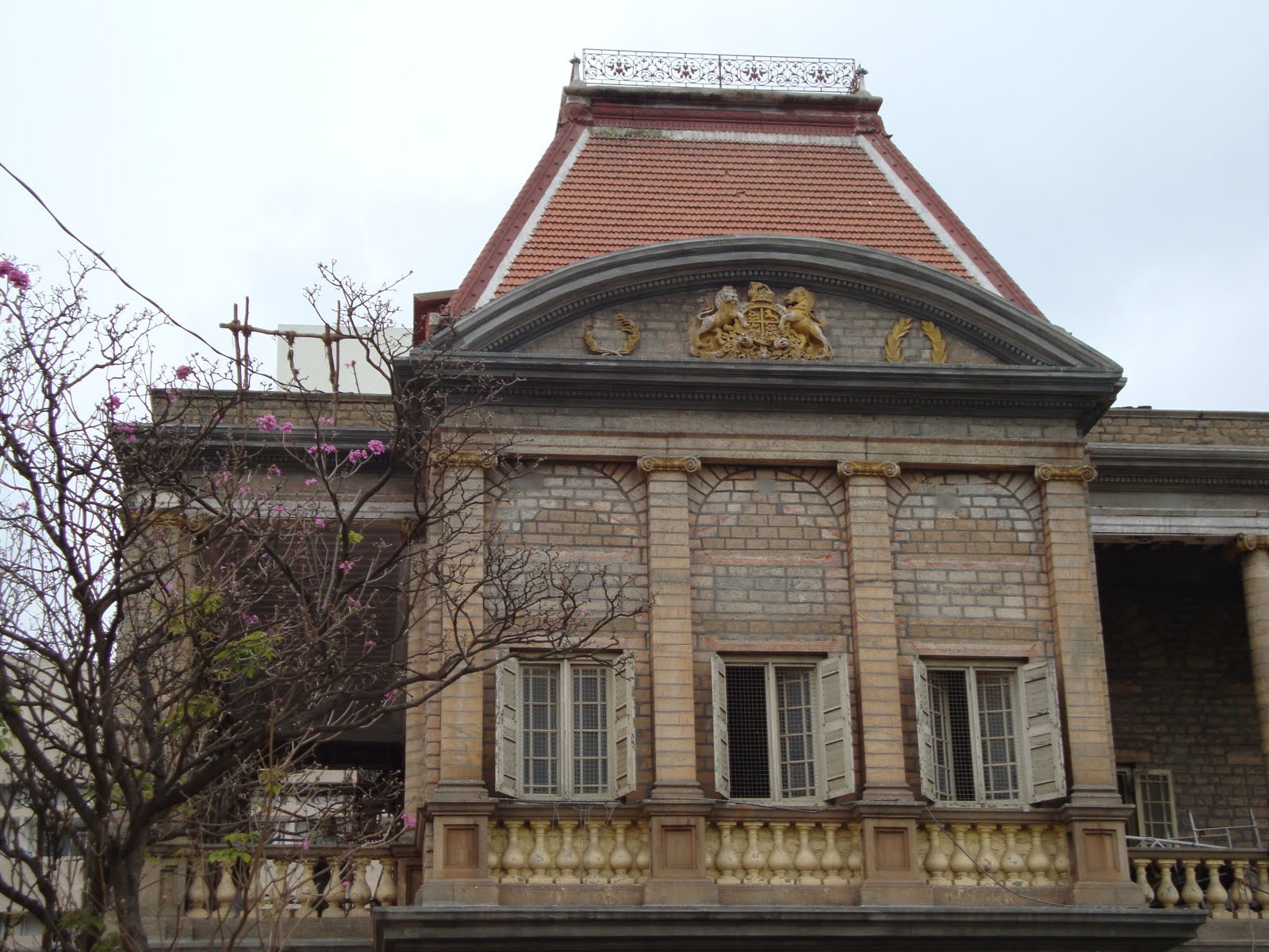 [DSC00486.JPG]