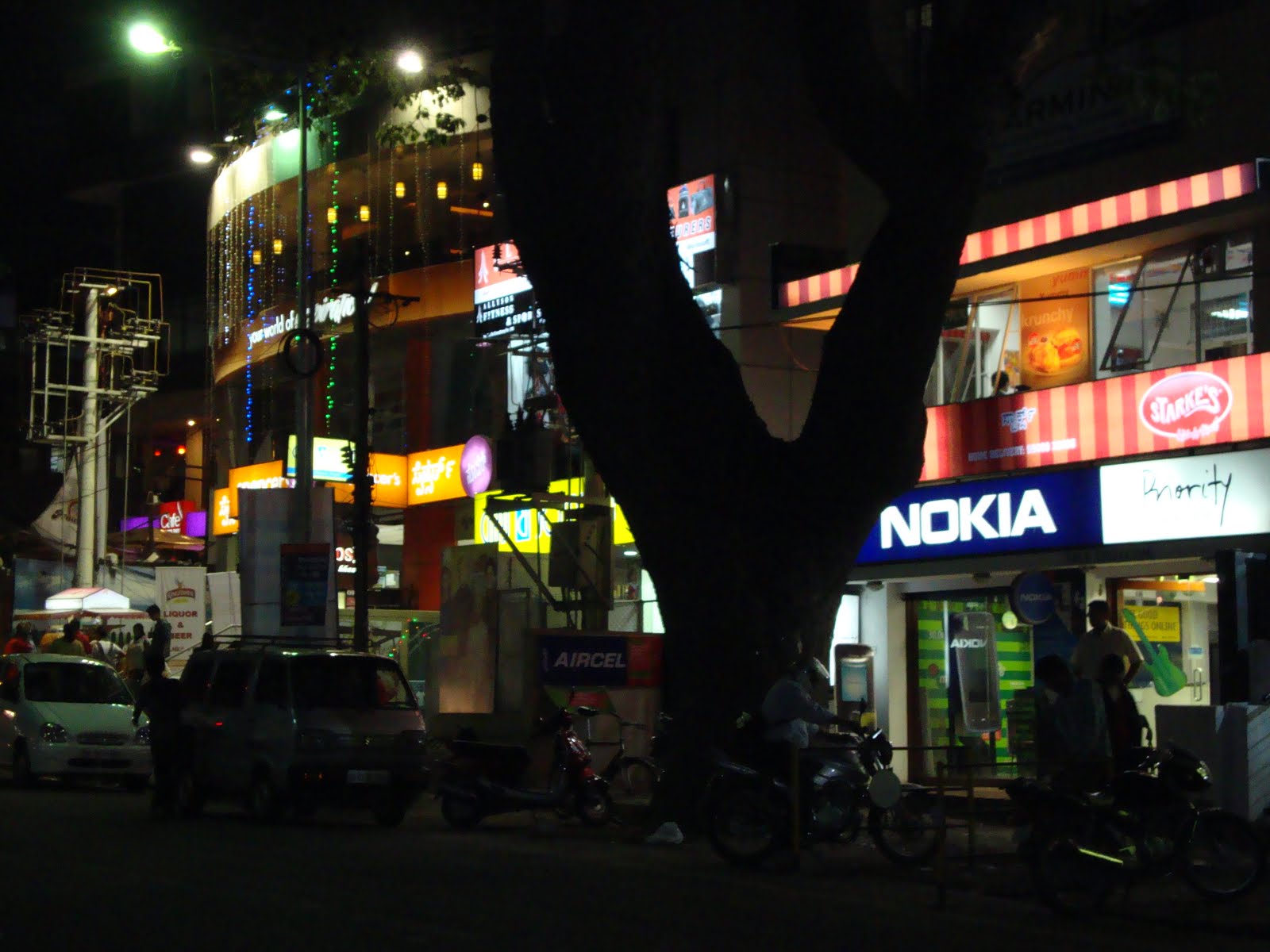 [DSC00271.JPG]