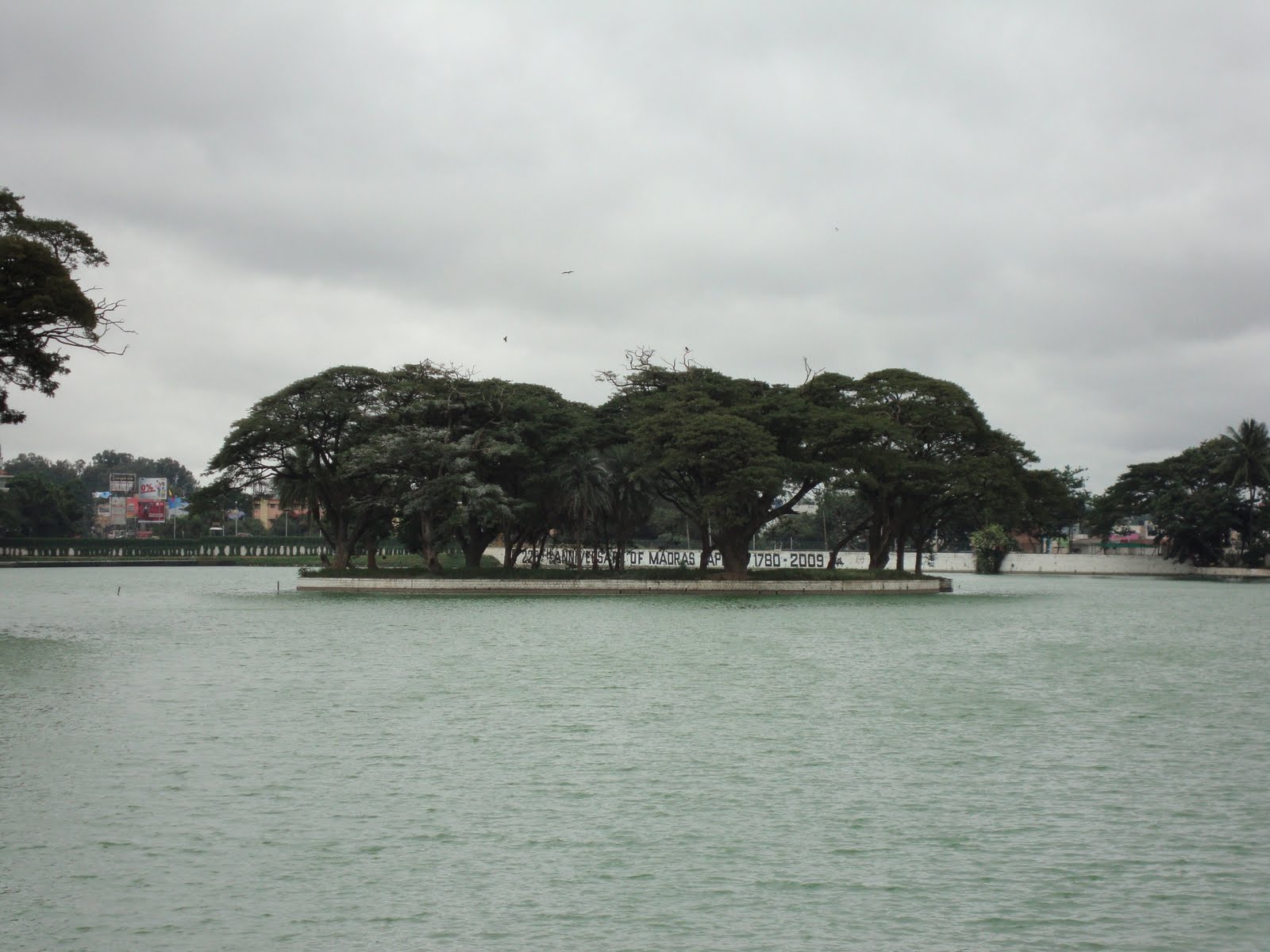 [DSC00302.JPG]
