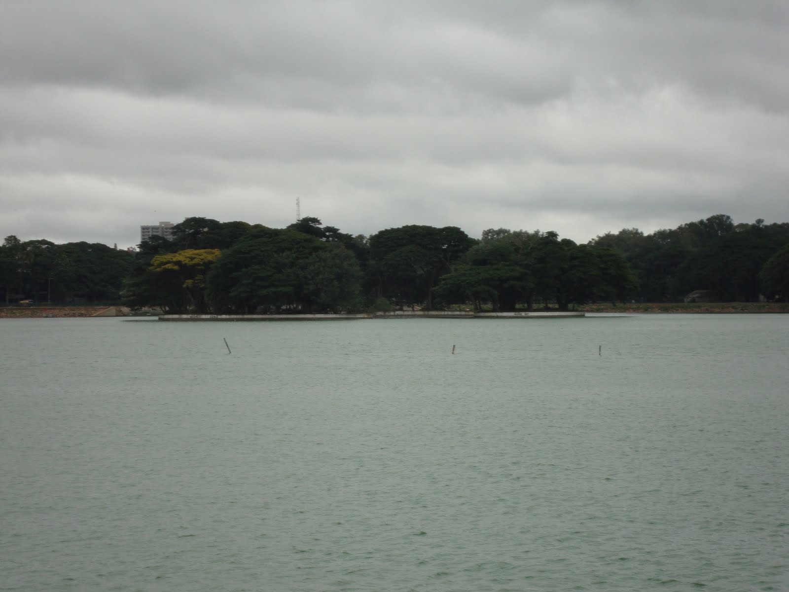 [DSC00307.JPG]