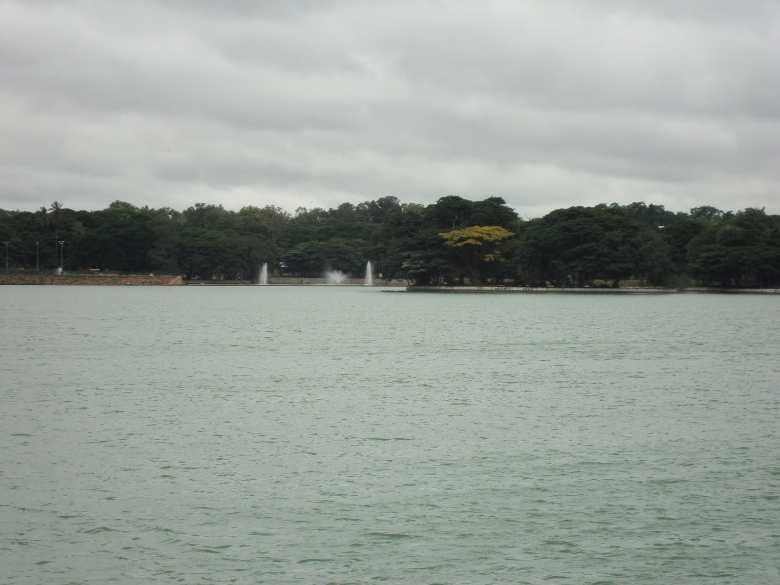 [DSC00309.JPG]