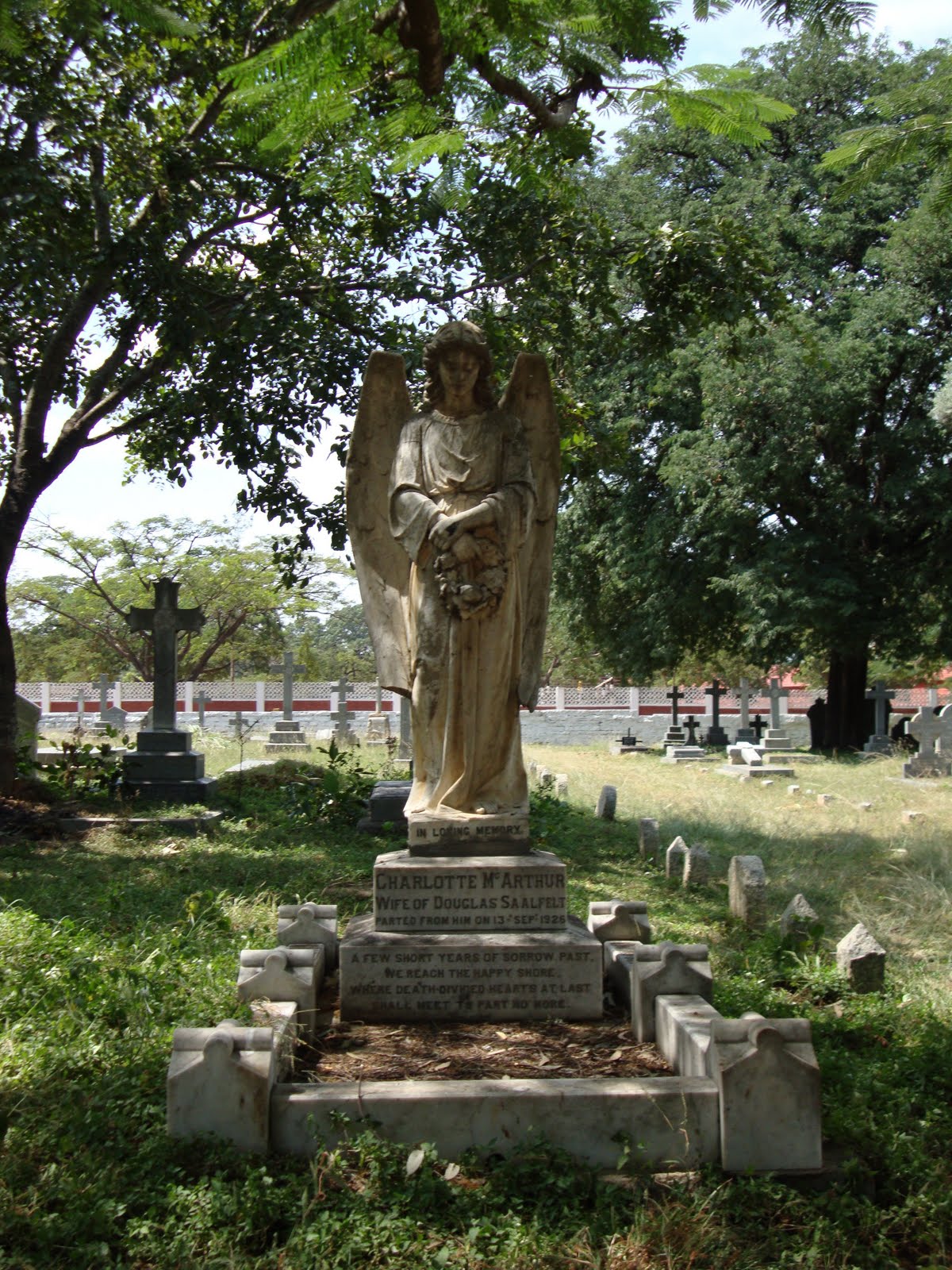 [DSC00235.JPG]