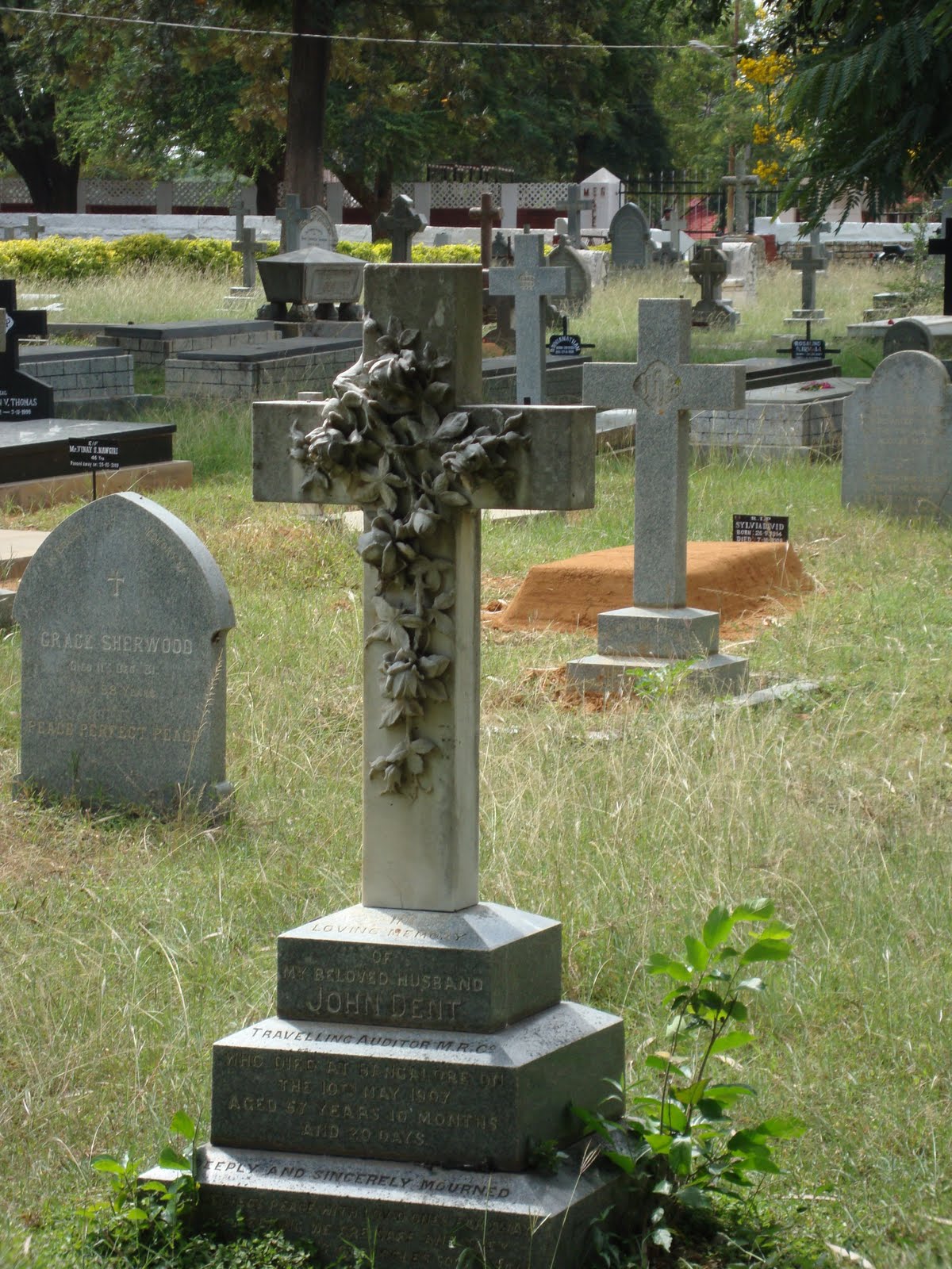 [DSC00253.JPG]