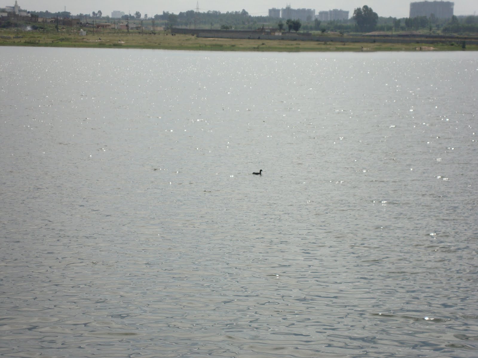 [DSC00355.JPG]