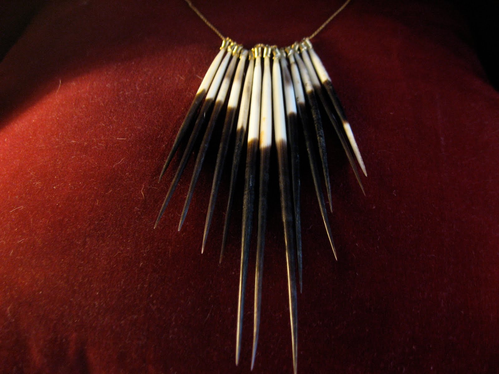 CLAWS Jewelry African Porcupine Quills Necklace by CLAWS Jewelry