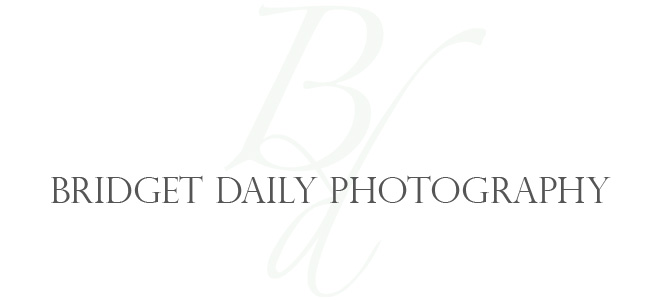 Bridget Daily Photography