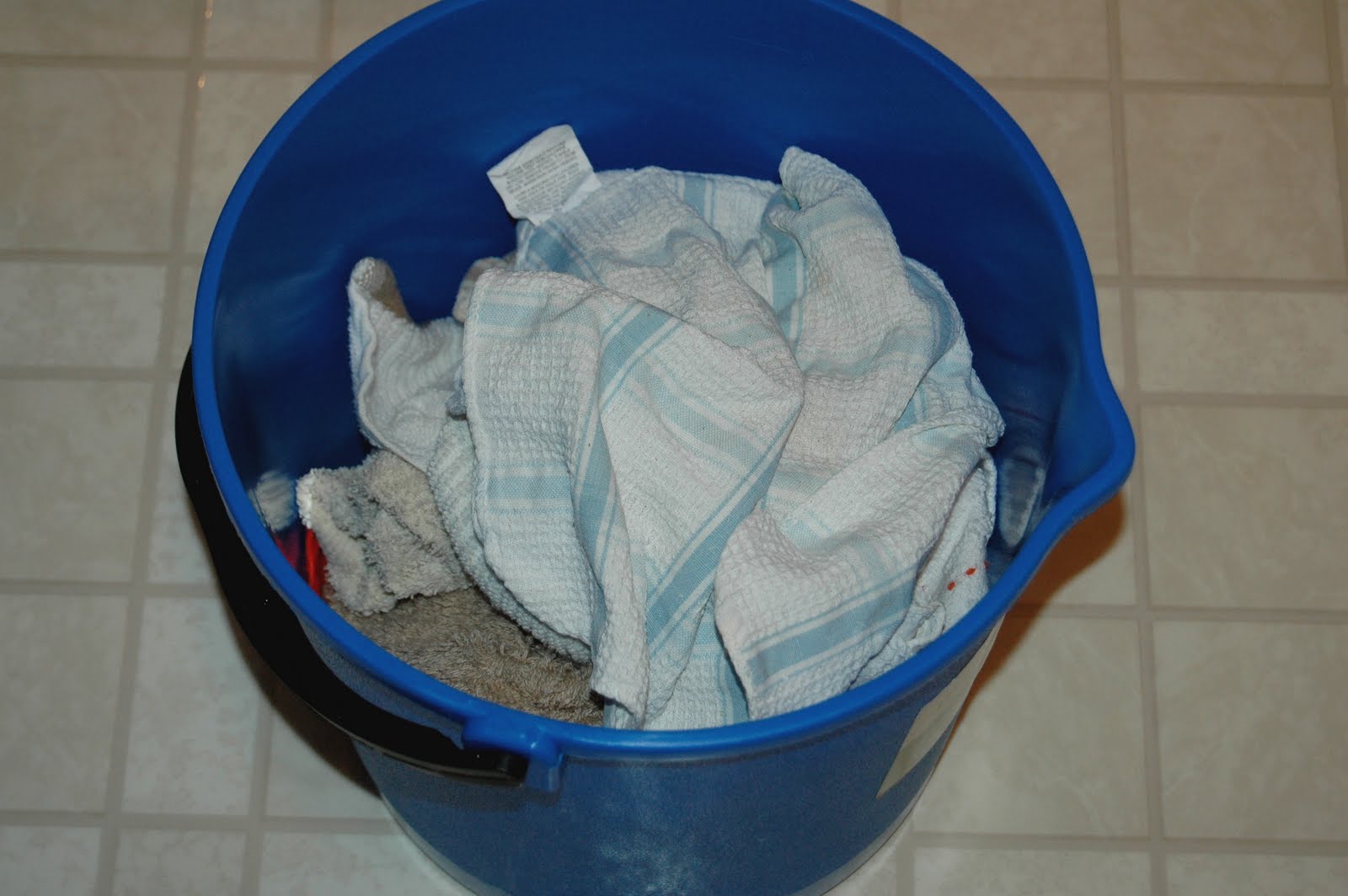 The Domestic Diva Daily Dirty Dirty Dish Rag