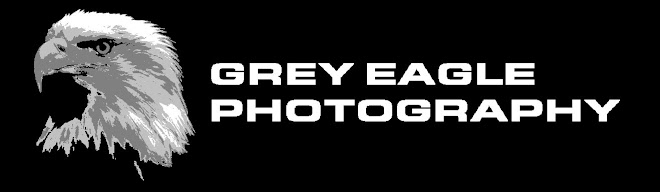 Grey Eagle Photography