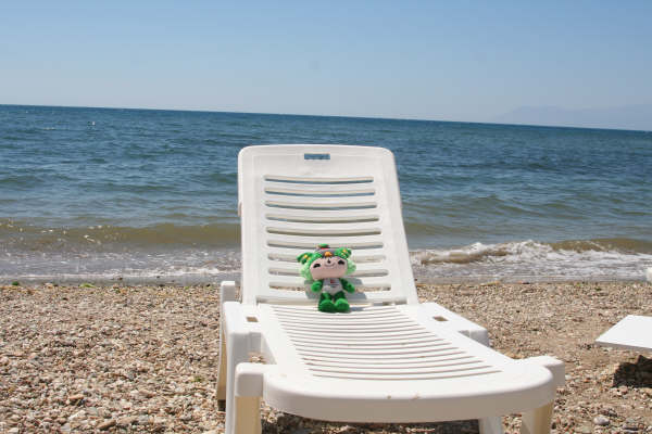 [IMG_3490.JPG]
