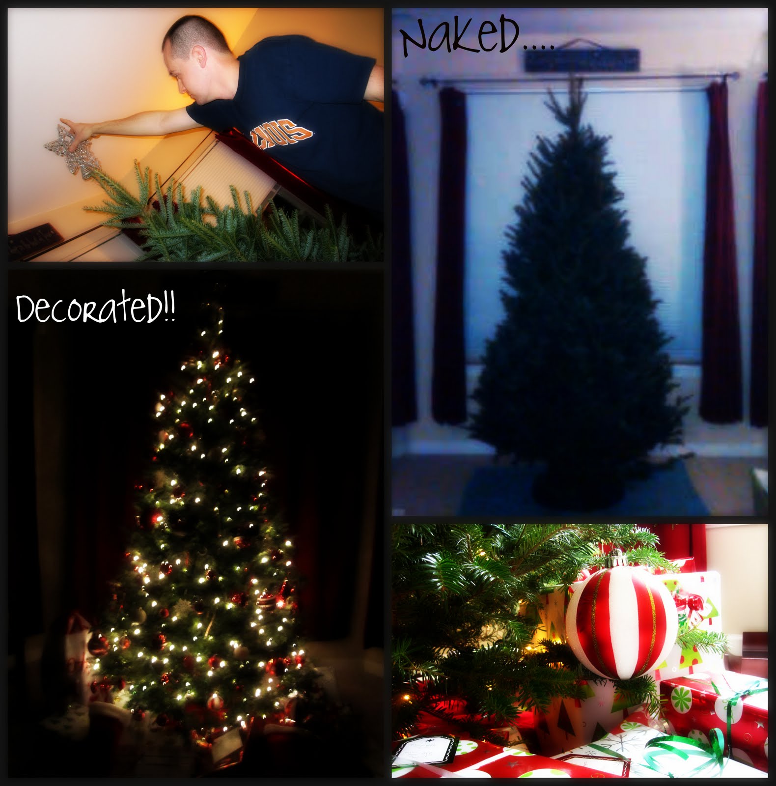 [tree+decorating.jpg]