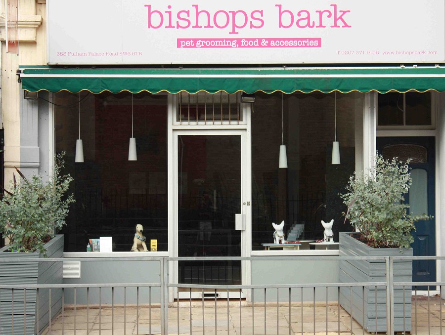 For the love of sausage dogs Bark Fulham's new pet grooming shop
