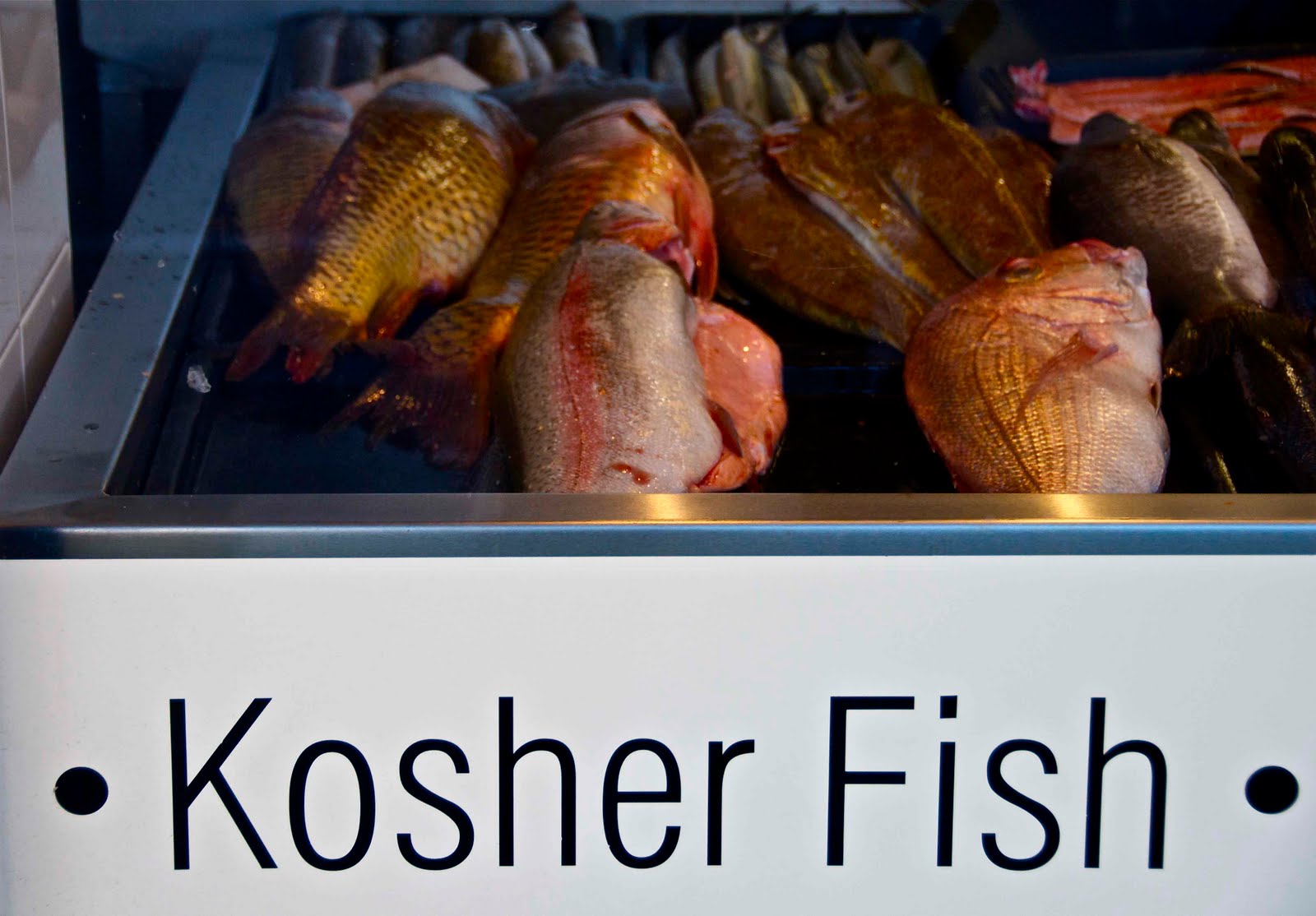 The Kosher Fish of Melbourne, Australia Rabbi Jerry Levy