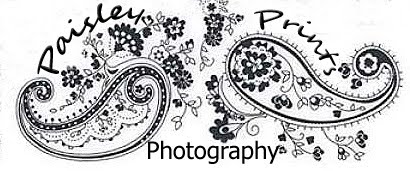 paisley prints photography